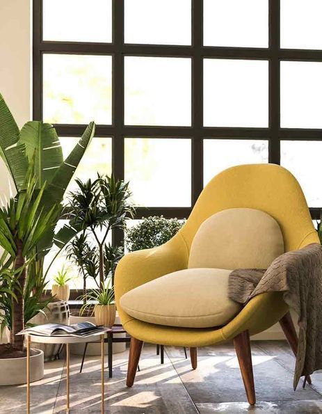 Plantes d'intérieur : comment les entretenir en automne ?