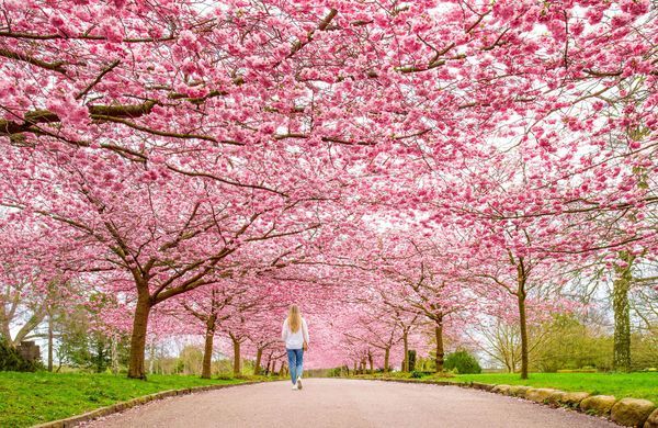 -1248GettyImages-2264027873-Nick Brundle Photography