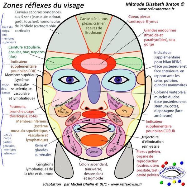 Réflexologie crânienne et faciale : tout savoir sur la réflexologie  crânienne et faciale - Elle