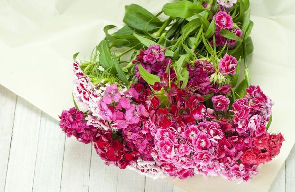 GettyImages-1134775557-S847-1248