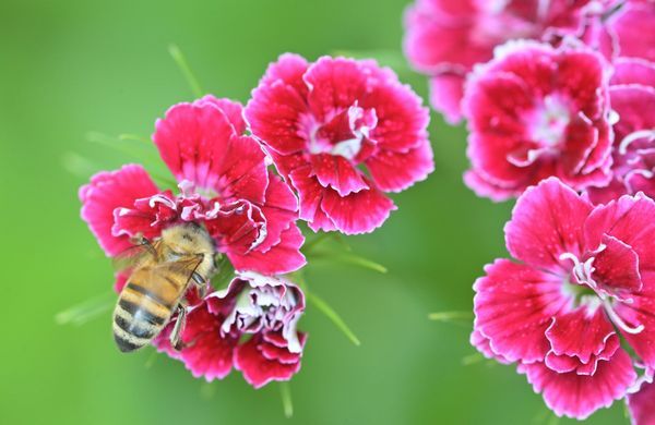 GettyImages-1325195370-Albert Fertl-1248