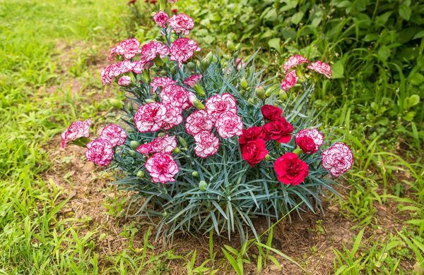 GettyImages-2166450195-EleSi-1248