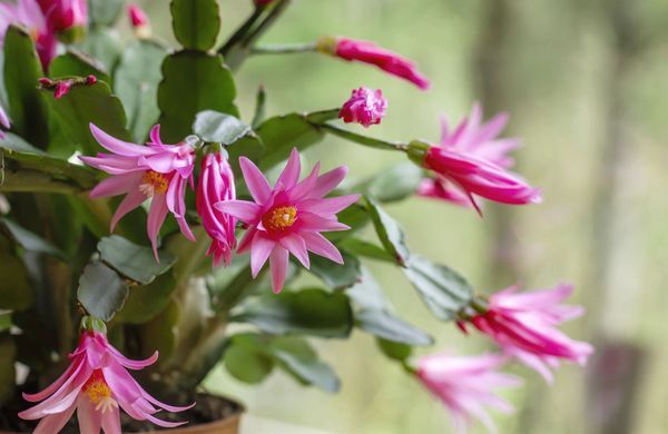 iStock-1301003778-jessicahyde-1248