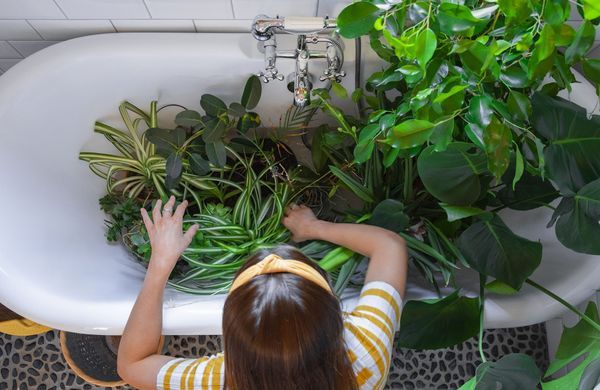 iStock-1353414425-SolStock-1248