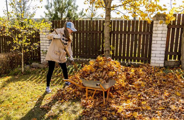 iStock-1417439256-Yuliya Koneva-1248