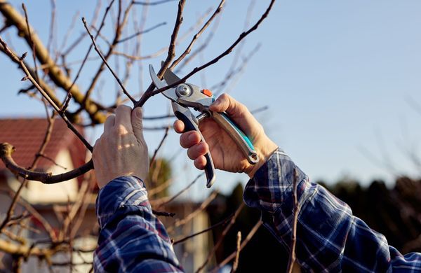 iStock-1473444750-Rostislav_Sedlacek-1248