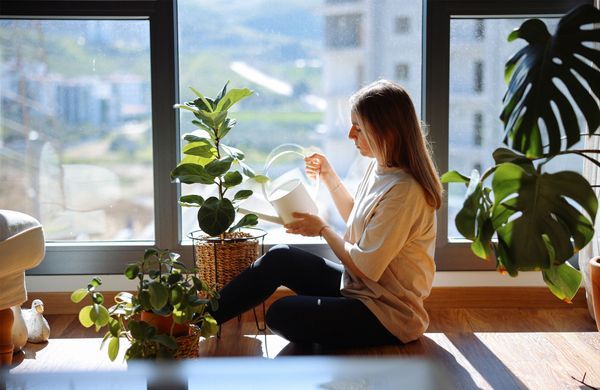 iStock-2138756254-ozgurcankaya-1248