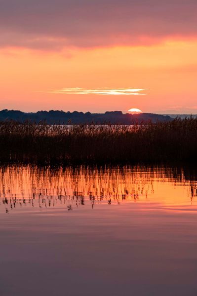 Landes Atlantique Sud - Réserve du Marais d'Orx_Landes Attractivité - Yohan Espiaube