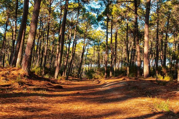 Landes_Mimizan en hiver_La Mailloueyre -2 ©Landes Attractivité