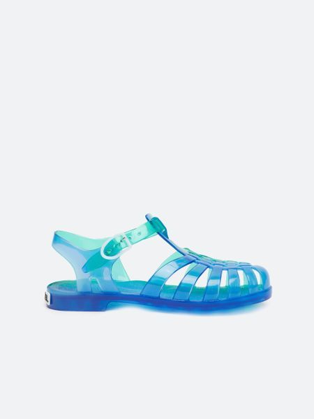 Meduse vert et bleu_1