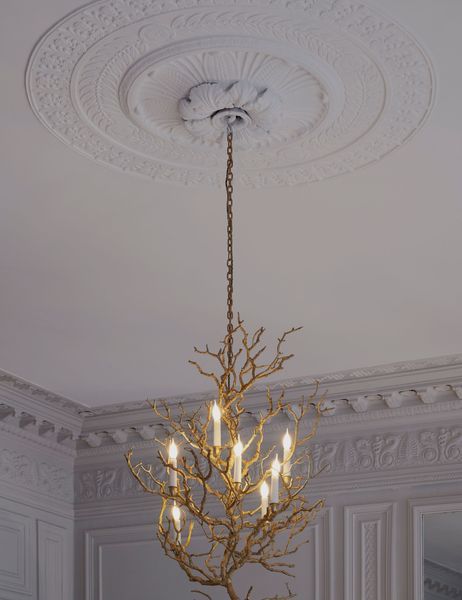 Meeting Joy de Rohan Chabot, a creator who honors nature