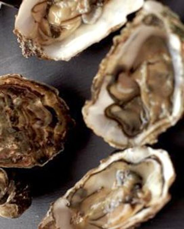Ouvrir les huîtres pour 1 personne Recettes Elle à Table