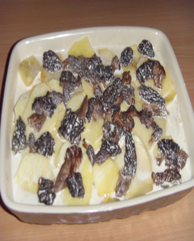 Gratin-de-pommes-de-terre-aux-morilles.jpg