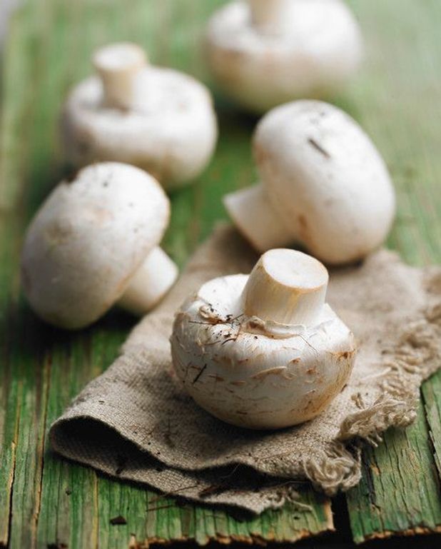 Champignons A La Grecque Recettes Elle A Table