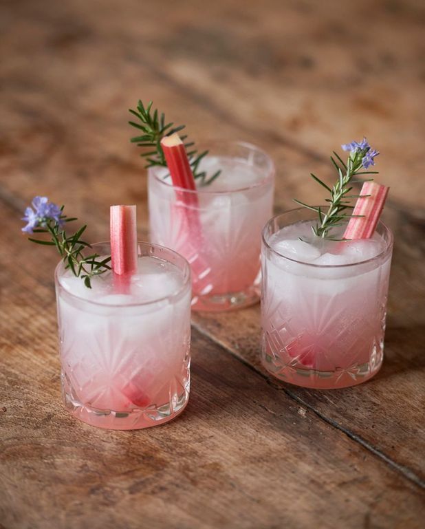 Cocktail vodka rhubarbe romarin