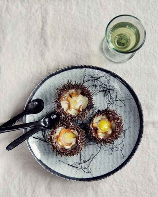 Oeufs De Caille En Coque D Oursins Pour 6 Personnes Recettes