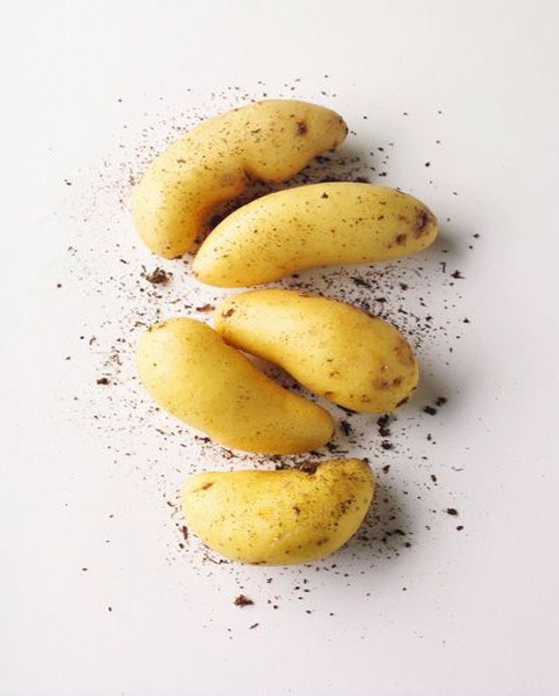 Gateau De Pommes De Terre Pour 6 Personnes Recettes Elle A Table