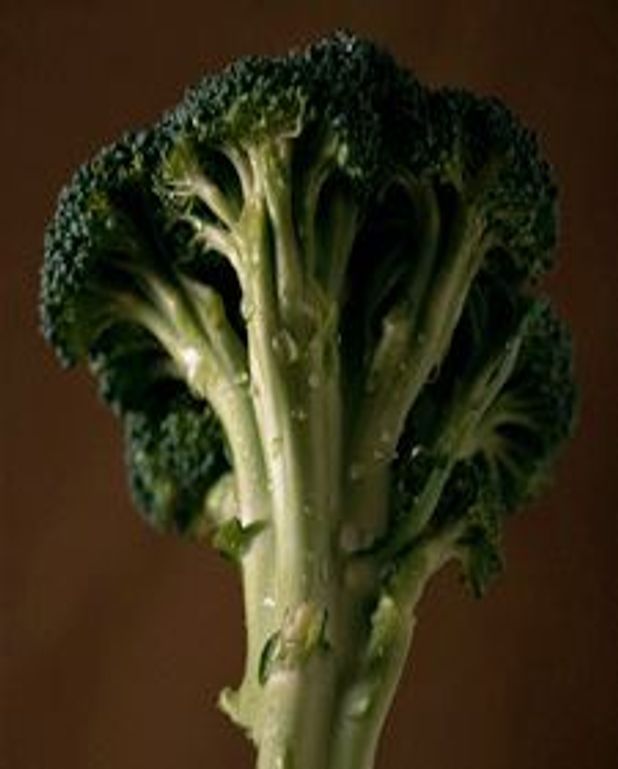 Ramequins de brocolis aux lardons pour 6 personnes Recettes Elle à Table