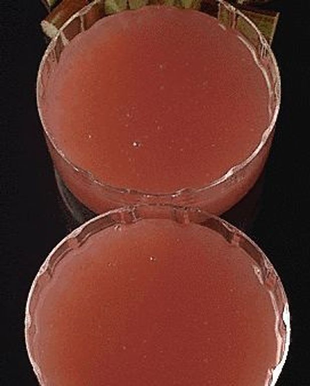 Rodegrod De Rhubarbe Pour 4 Personnes Recettes Elle A Table