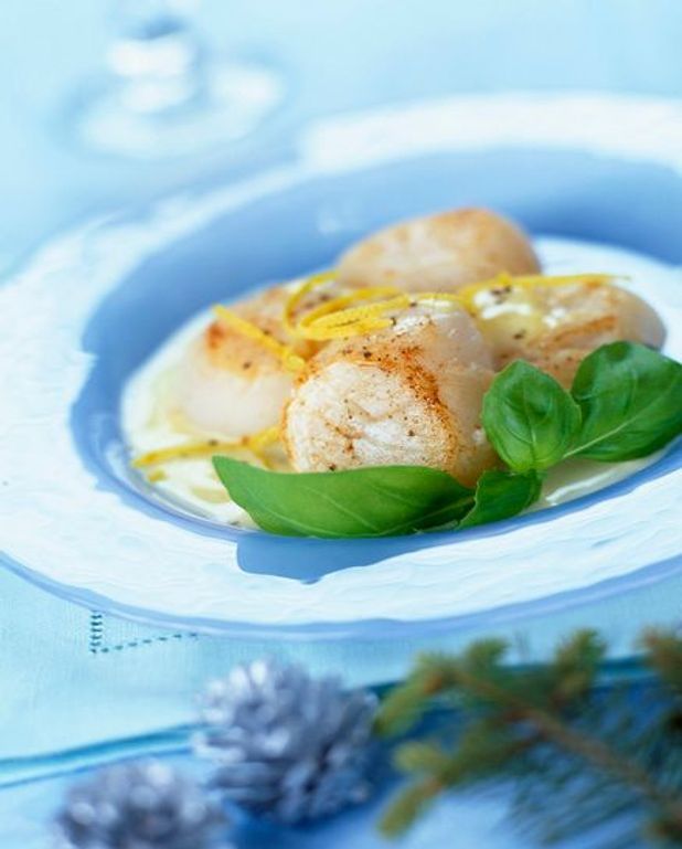 Salade Aux Noix De Saint Jacques Et Fenouil Pour 4 Personnes