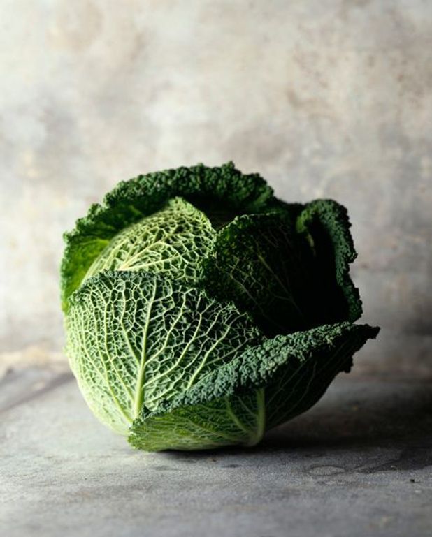 Salade De Chou Vert Aux Carottes Et Raisins Secs Recettes Elle A