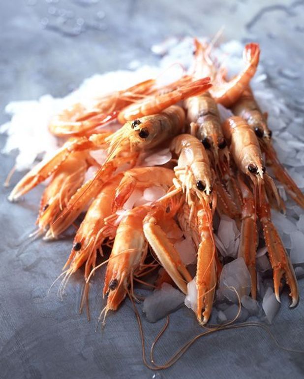 Scampis grillés pour 4 personnes - Recettes Elle à Table Scampis grillés pour 4 personnes - Recettes Elle à Table