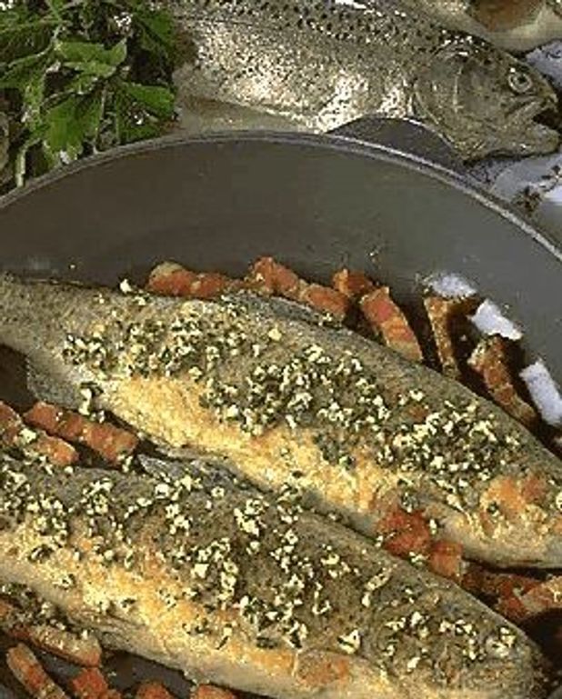 Truites au lard pour 4 personnes Recettes Elle à Table