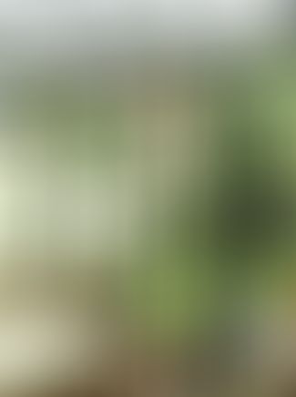 13 jolies vérandas pour s'inspirer