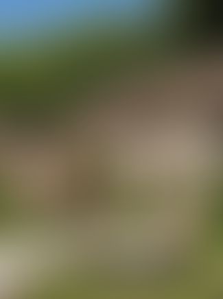 Une bâtisse familiale retrouve son authenticité