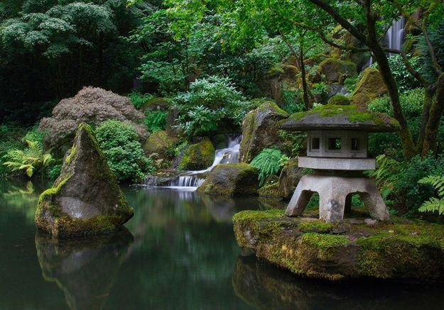 L’eau au cœur du jardin zen