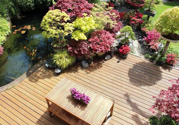 La végétation au cœur du jardin zen
