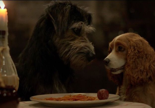 Chiens amoureux et spaghettis : la bande-annonce de « La Belle et le Clochard » enfin dévoilée ! 