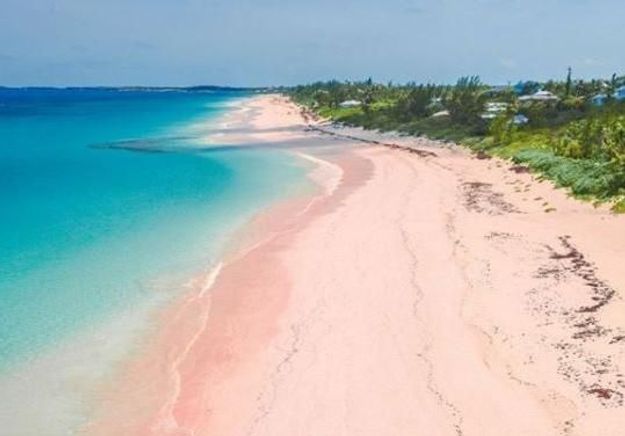 Découvrez l’unique plage de sable rose du monde