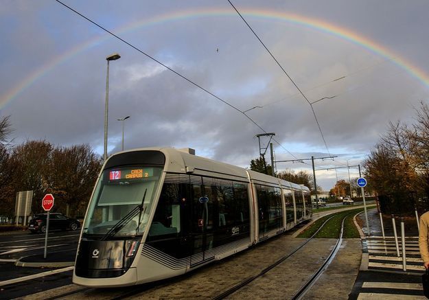 Handicap : à Caen, une ligne de tram parfumée pour aider les malvoyants 