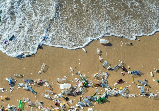 « Single Use Rebellion » : une campagne citoyenne pour chasser les plastiques à usage unique 