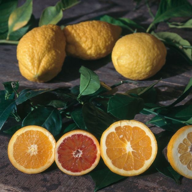 Voici L Astuce Incroyable Pour Presser Un Citron Sans Le Couper Elle A Table