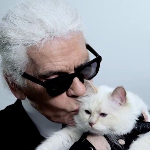 Karl Lagerfeld : l’hommage de son chat Choupette à son maître disparu