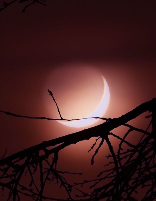 La nouvelle lune en Taureau du 11 mai, invitation à la détente
