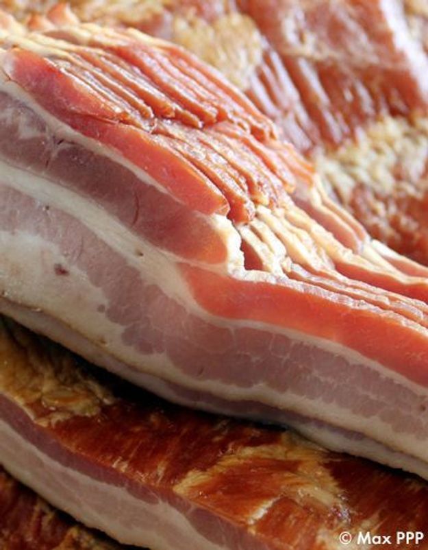 Lard Definition Francais