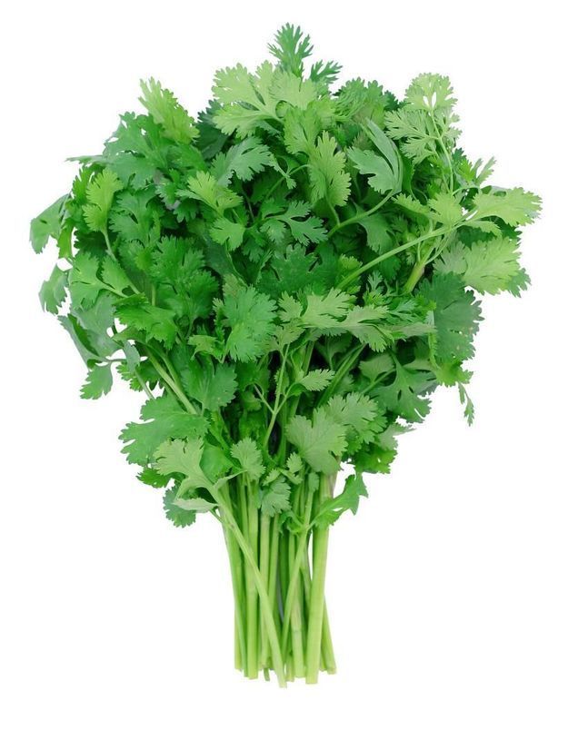 Que Faire Avec De La Coriandre Fraiche Que Faire Avec De La Coriandre Fraiche Elle A Table