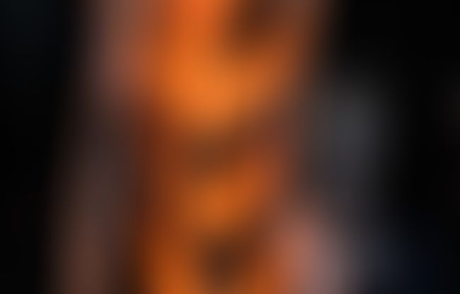 5 règles d’or pour porter l'imprimé tigre, le motif star de 2026 