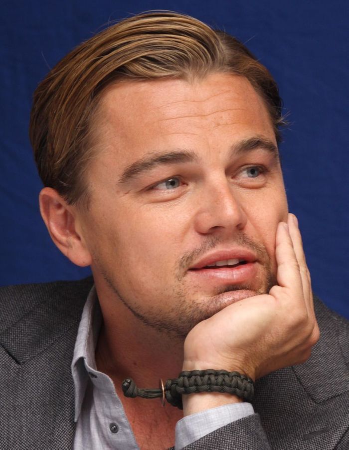 Leonardo DiCaprio ! - Stars : à qui sont ces cheveux ? - Elle