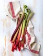 Comment conserver la rhubarbe correctement ?