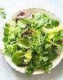 Laitue, mâche et roquette : quelles salades vertes manger au printemps ? 