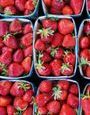 Voici la meilleure façon de conserver les fraises