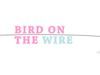 Bird On The Wire