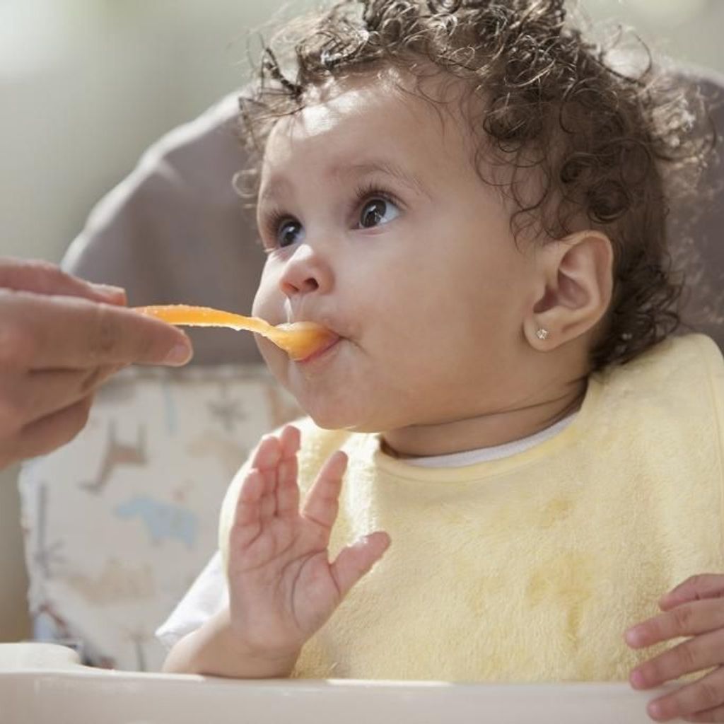 Que Faire Avec Un Babycook Elle A Table