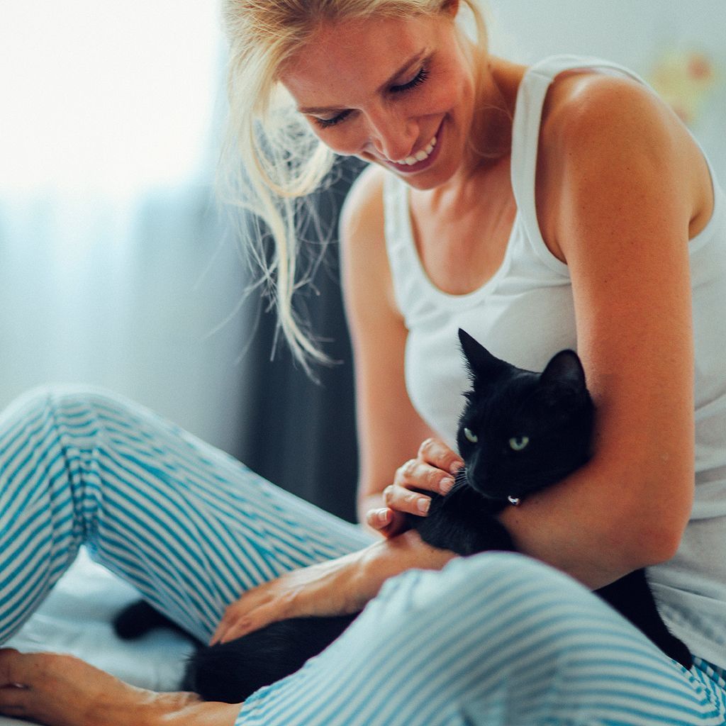 C Est Mon Histoire Un Petit Chat M A Rendue Zinzin Elle C Est Mon Histoire Un Petit Chat M A Rendue Zinzin Elle