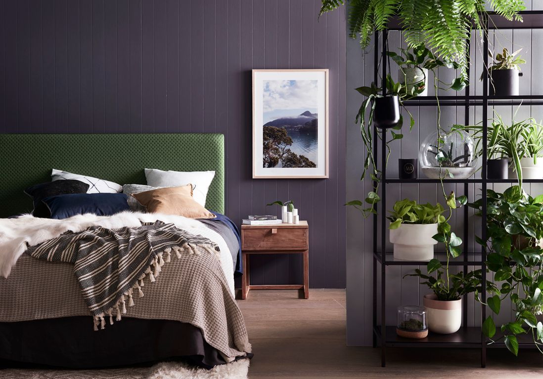 Que Faire De Ses Plantes Pendant Les Vacances Elle Decoration