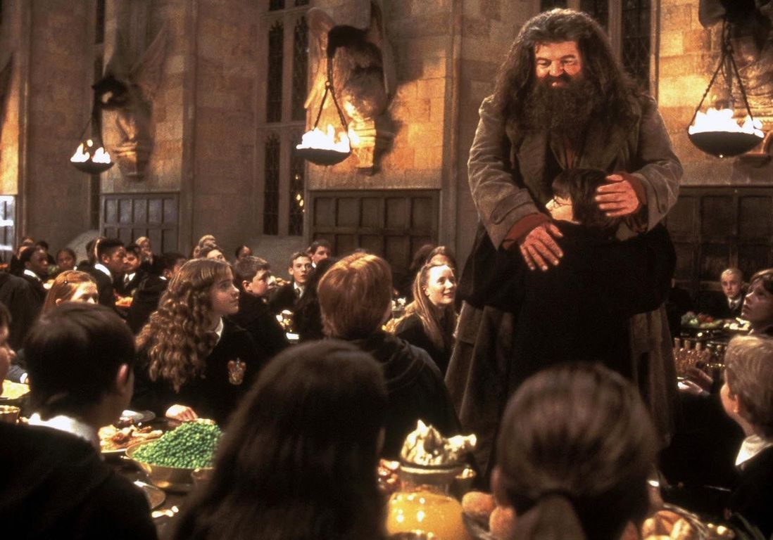 Acteur De Harry Potter Décédé Mort de Robbie Coltrane : les hommages poignants des acteurs d' « Harry  Potter » à Hagrid - Elle